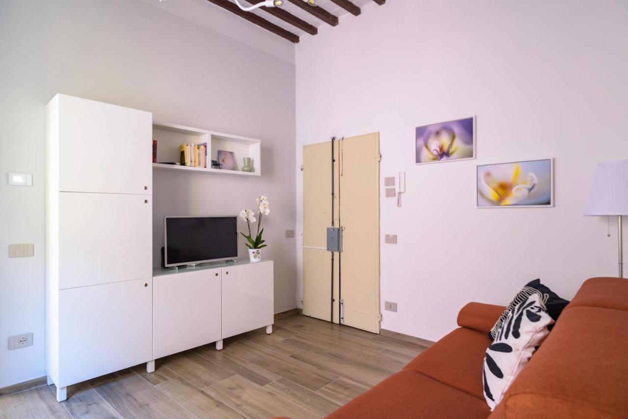 Pisa Art Apartment Экстерьер фото